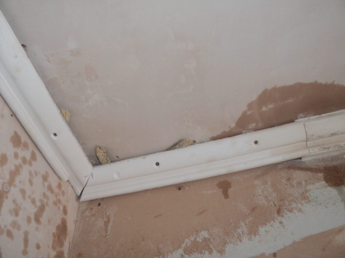Ornamental plastering at Coronation Rd, image 70