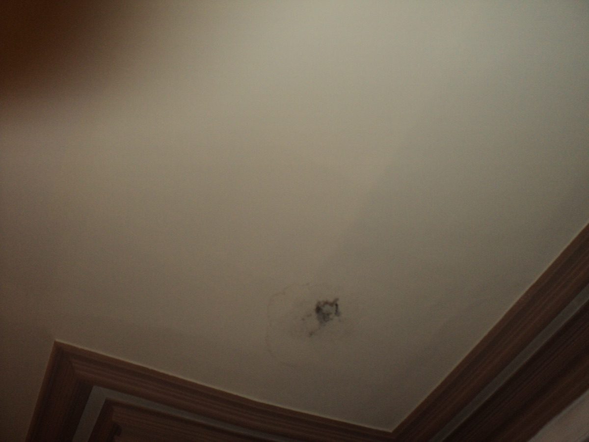 Ornamental plastering at Coronation Rd, image 92