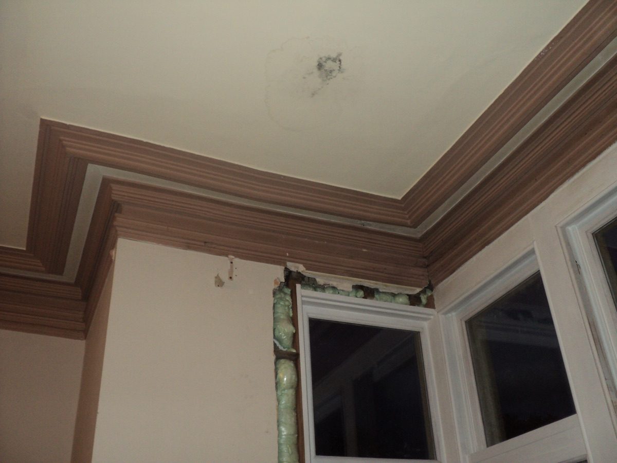 Ornamental plastering at Coronation Rd, image 93