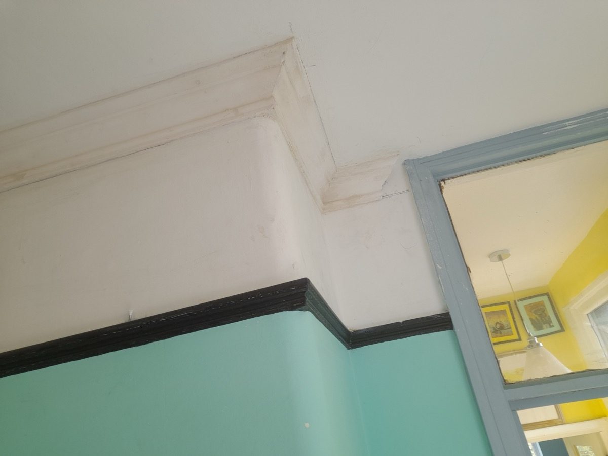 Ornamental Plastering — Haverstock Rd, image 12