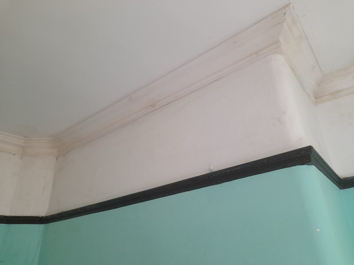 Ornamental Plastering — Haverstock Rd, image 13