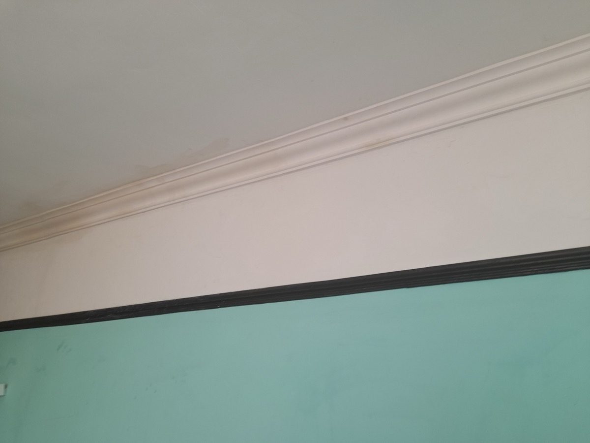 Ornamental Plastering — Haverstock Rd, image 14