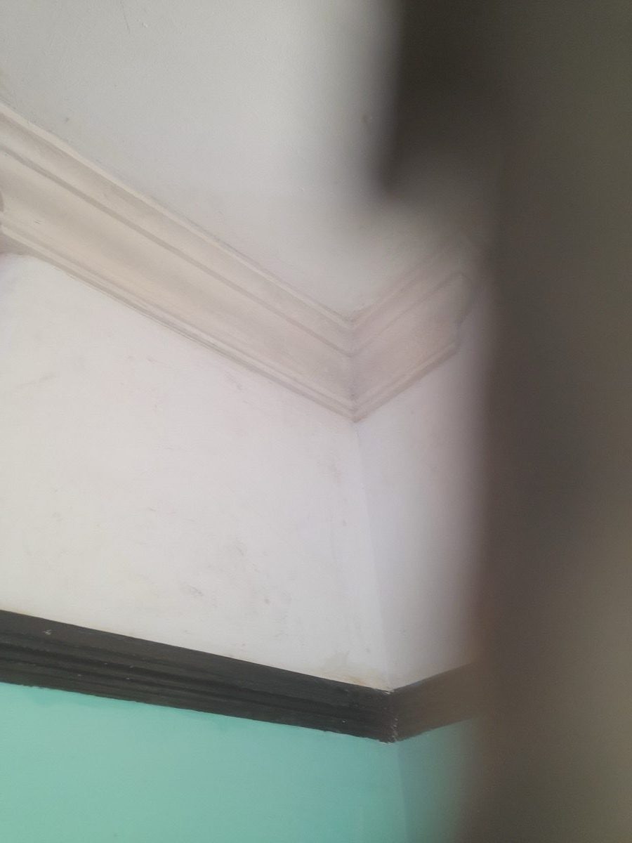 Ornamental Plastering — Haverstock Rd, image 15