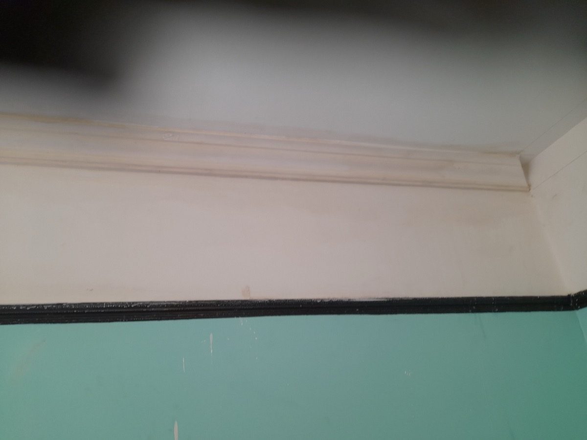 Ornamental Plastering — Haverstock Rd, image 9