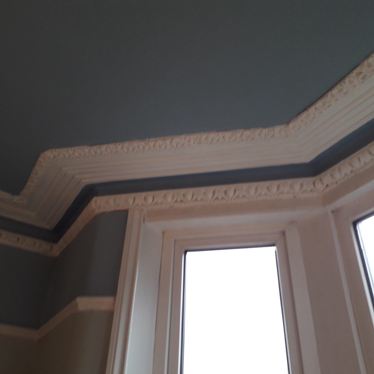 Ornamental Plastering — Salisbury Rd, image 1