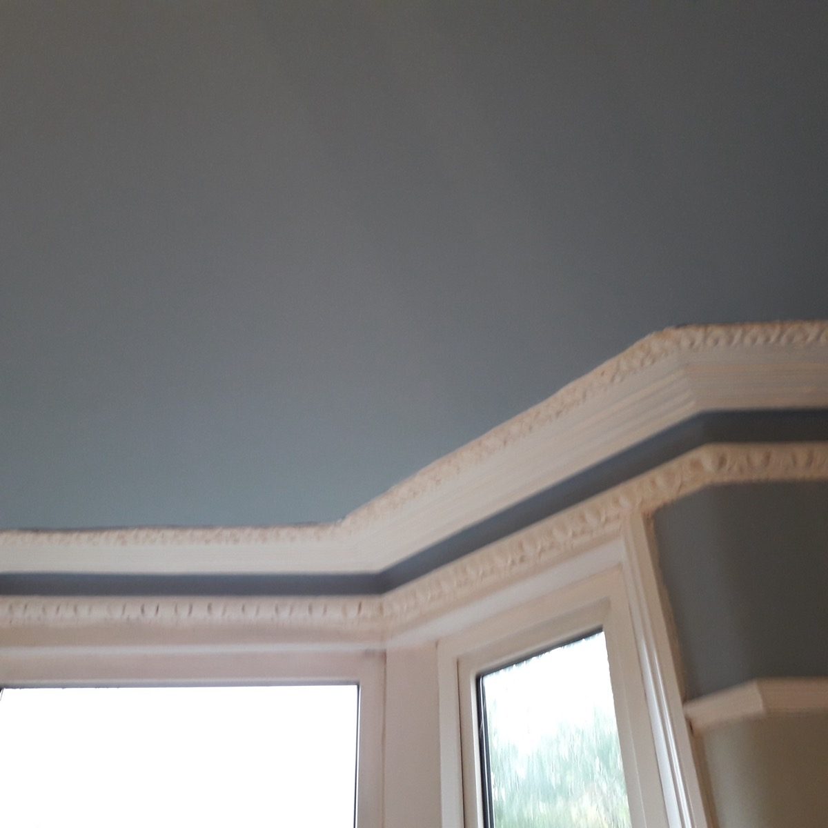 Ornamental Plastering — Salisbury Rd, image 4