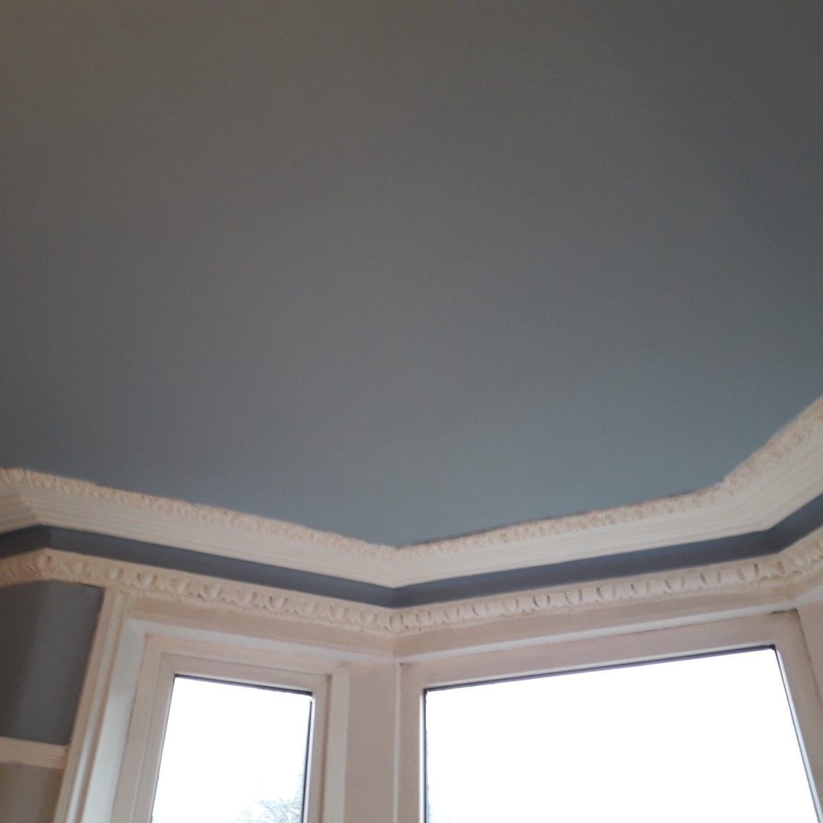 Ornamental Plastering — Salisbury Rd, image 5