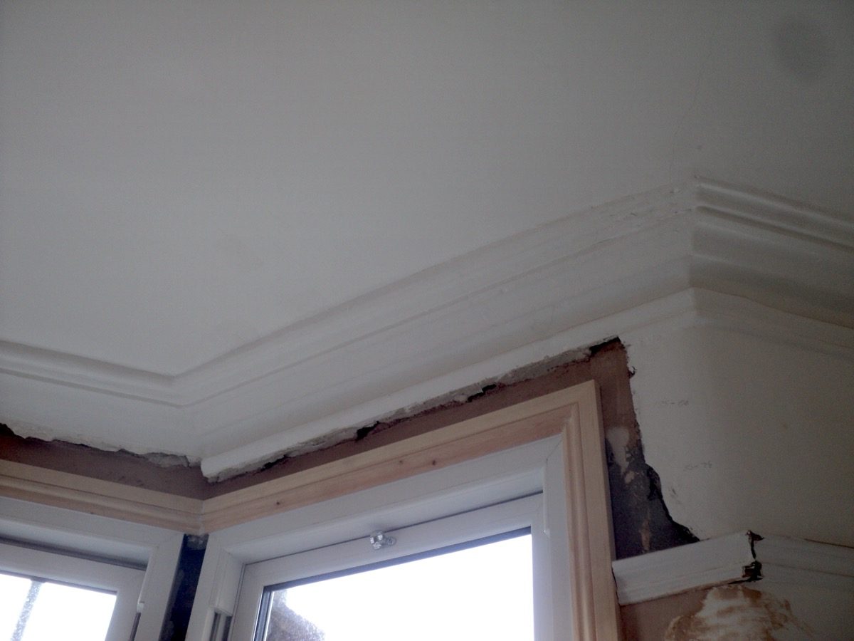 Ornamental Plastering — Westbury Pk, image 1