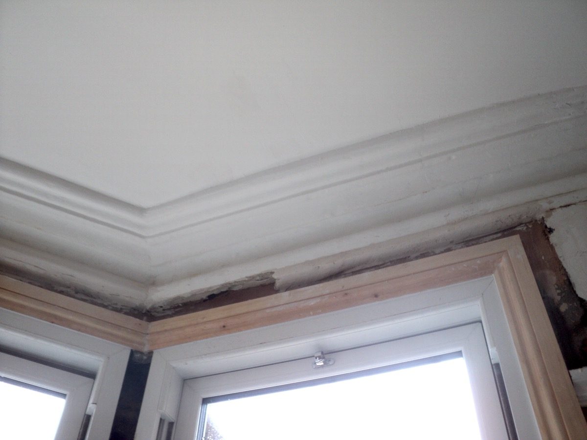 Ornamental Plastering — Westbury Pk, image 4