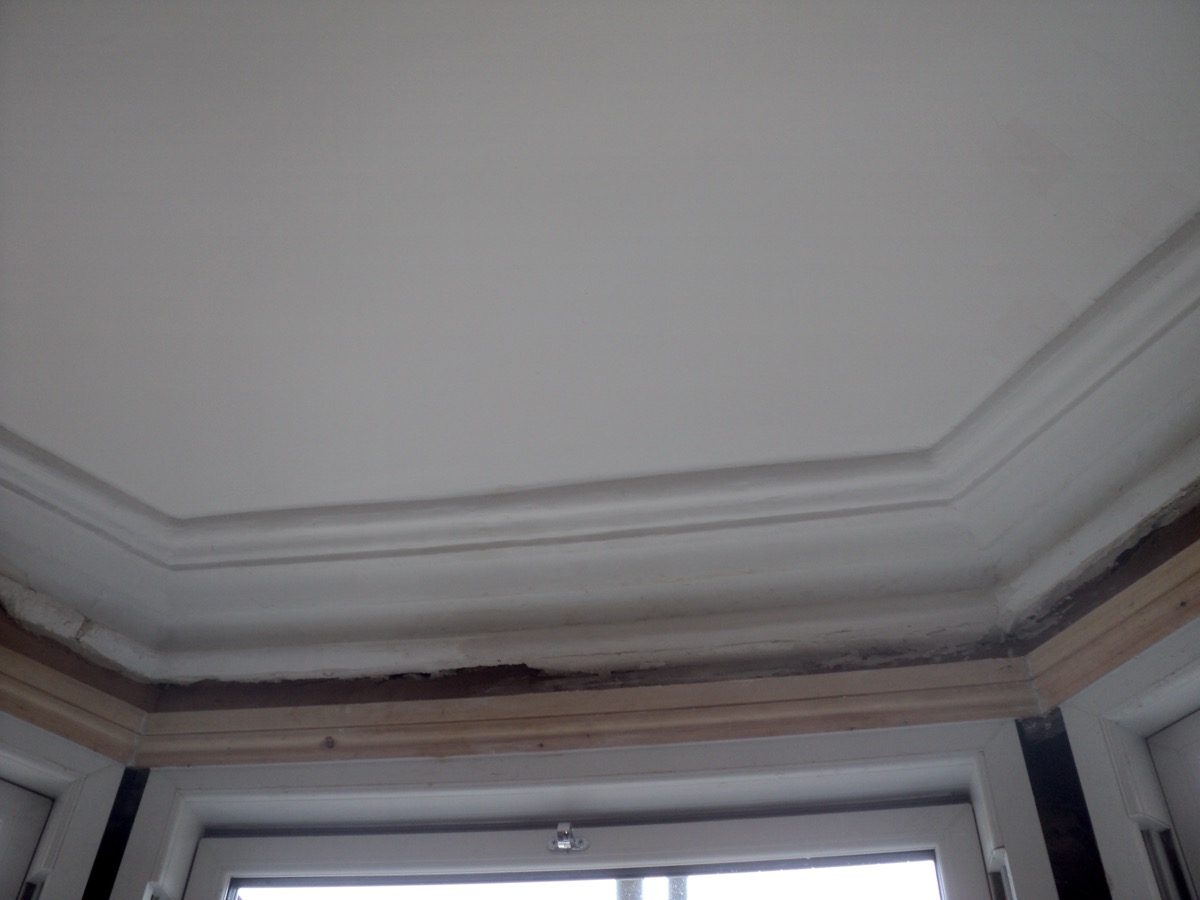 Ornamental Plastering — Westbury Pk, image 5