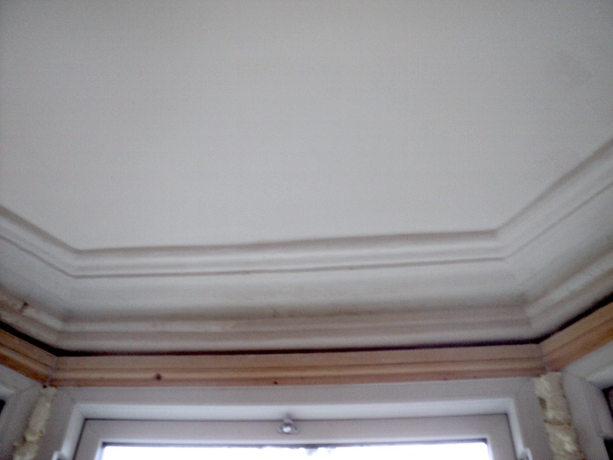 Ornamental Plastering — Westbury Pk, image 6