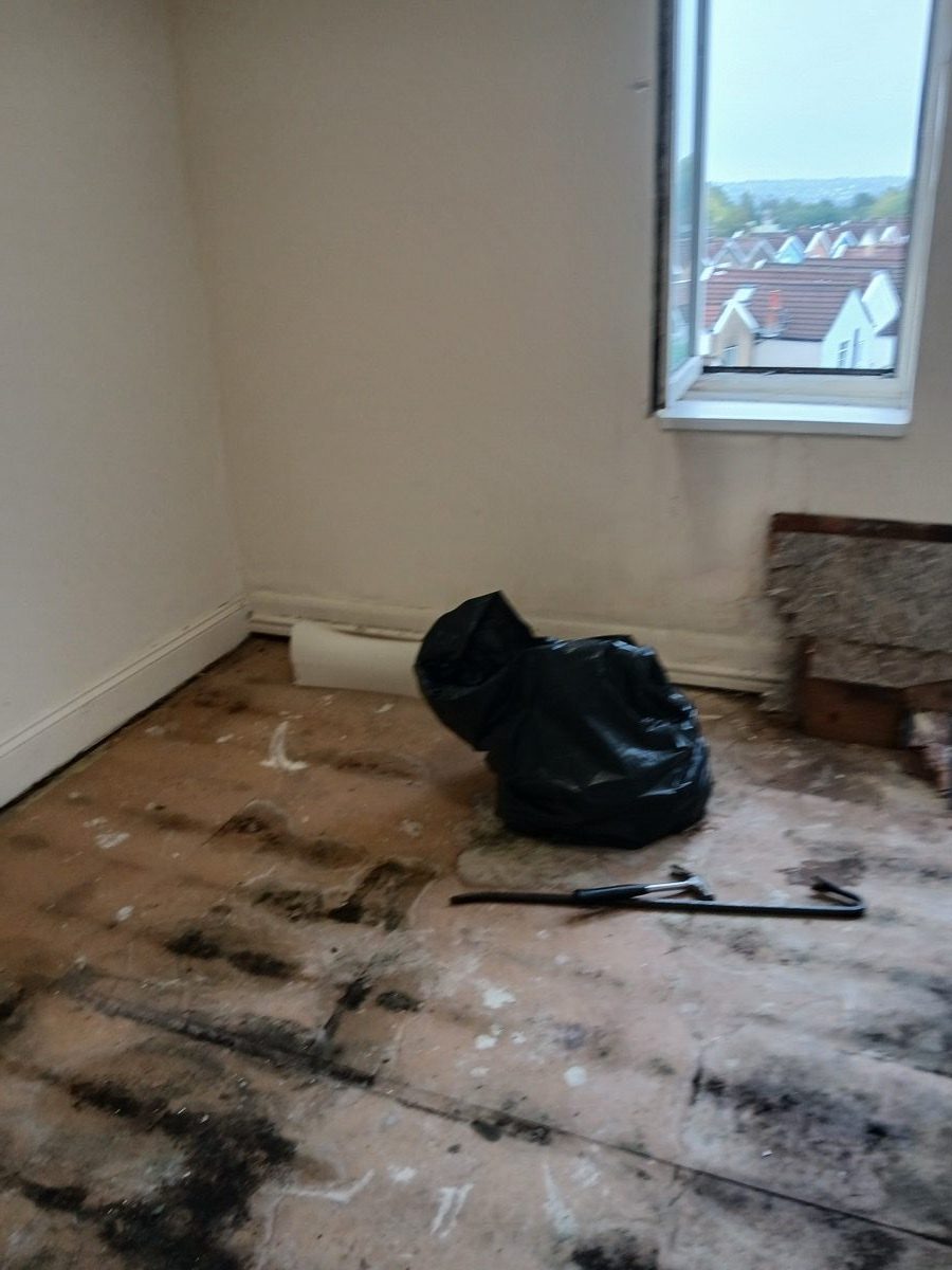 General building project at 200 Wells Rd, image 4