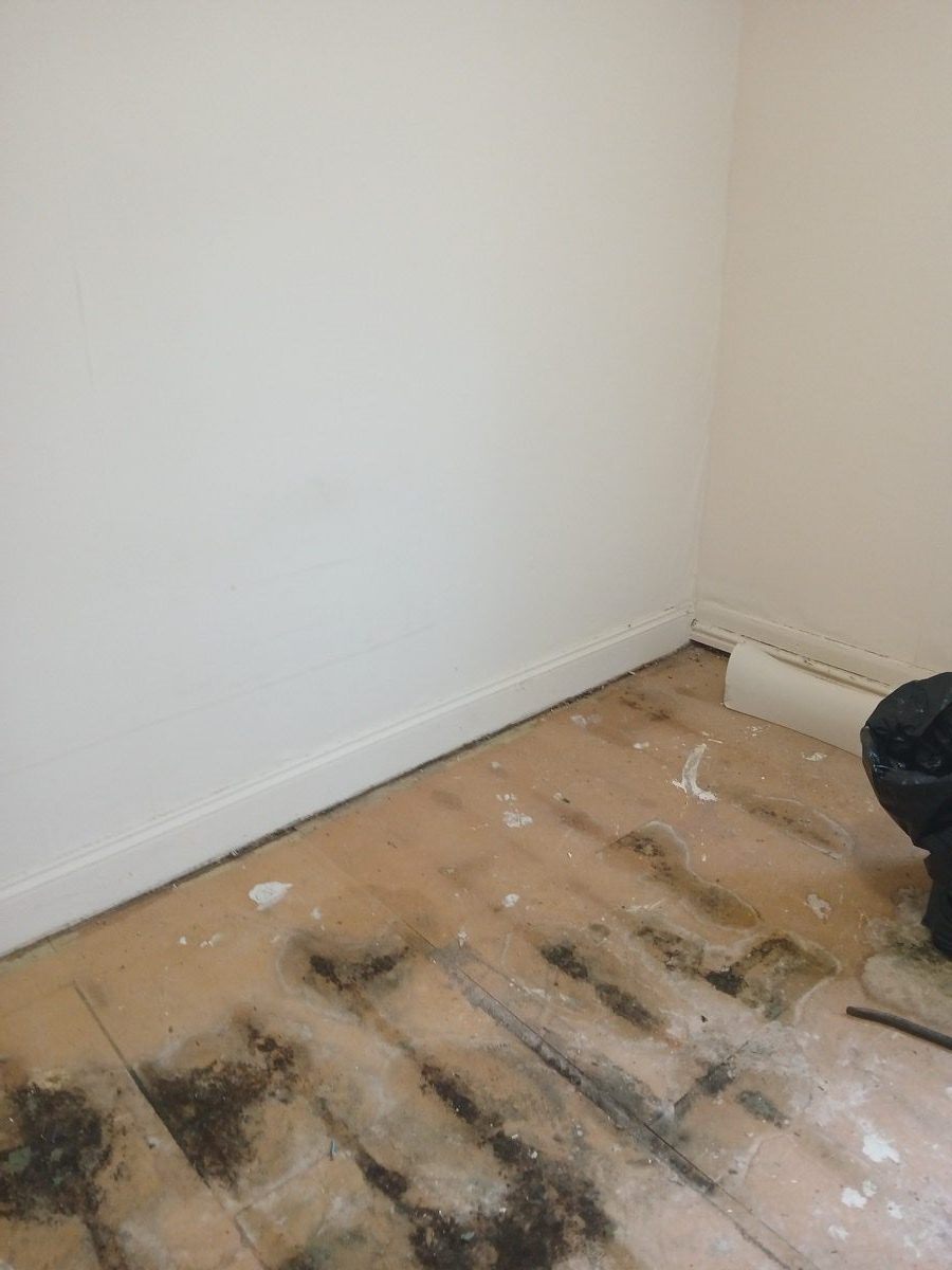 General building project at 200 Wells Rd, image 5