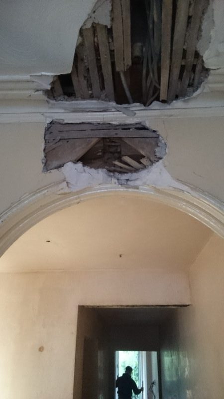 Restoration & Conservation