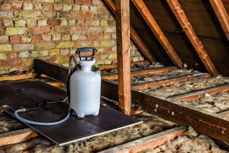 Timber and Damp Presentation